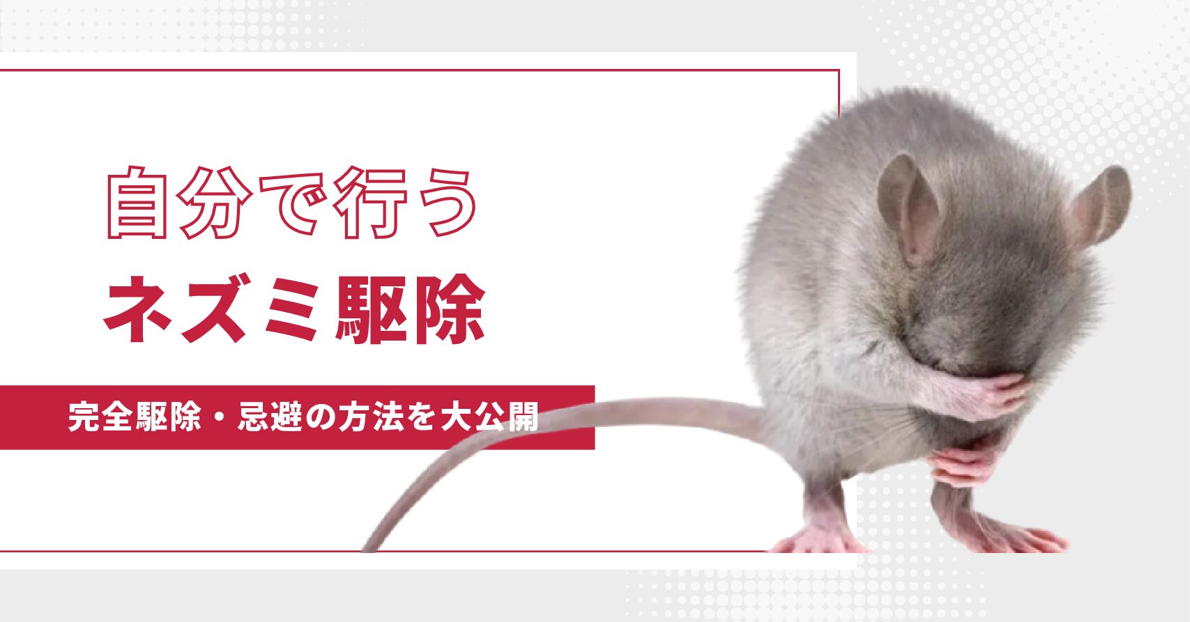 自分でできるネズミ駆除 – ネズミの習性と忌避方法